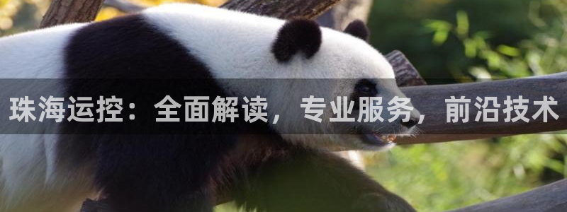 公海赌赌船