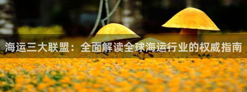 公海赌博犯法吗