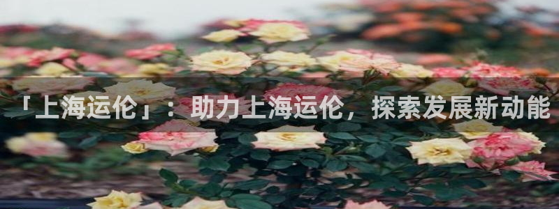 公海欢迎来到赌船