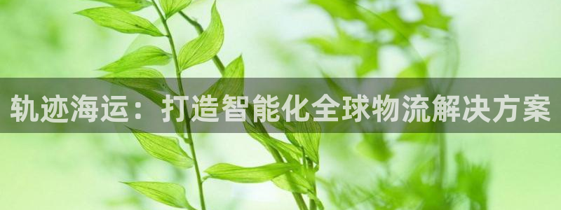 去公海赌博合法吗