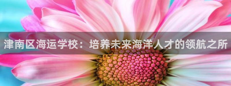 欢迎来到公赌船