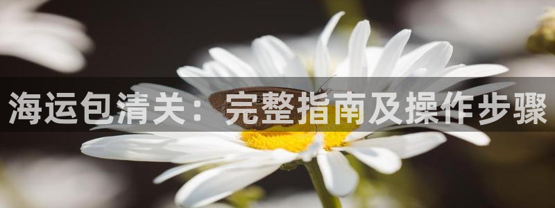 公海 赌船710手机版下载官方