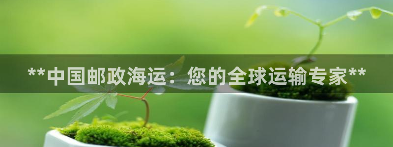 欢迎上船