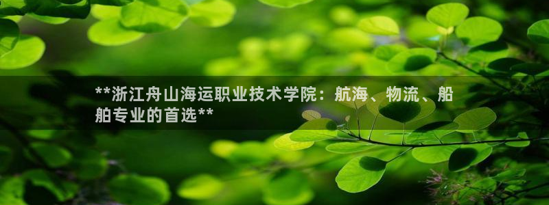 公海赌赌船快速充值