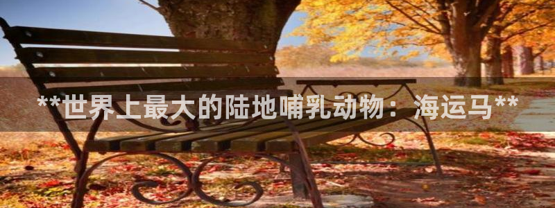公海赌船网址710