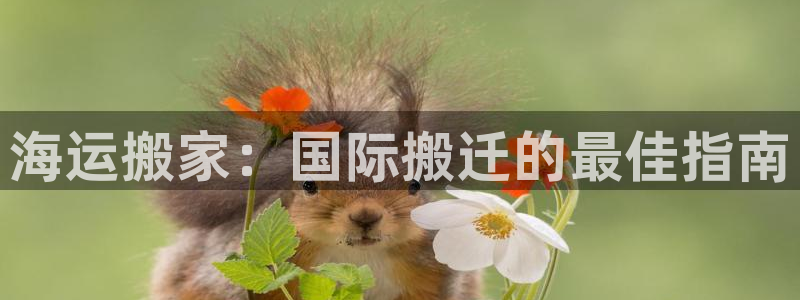 欢迎你来到公海 赌船