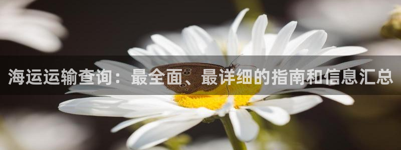 公海赌博为什么没人管