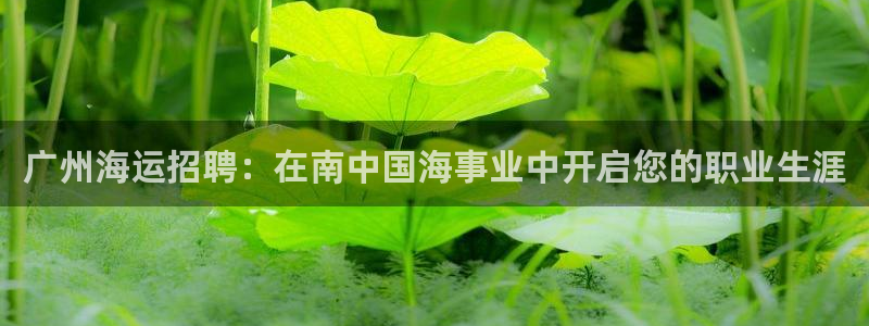 欢迎你来到公海欢迎你来到赌船701