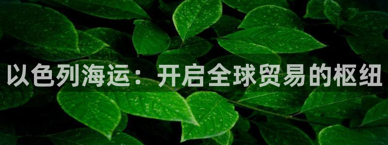 欢迎来到公海710官网