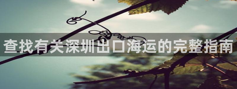 欢迎你来到 公主的海岛