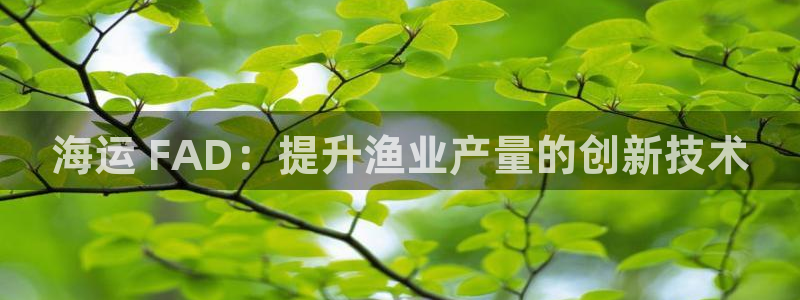 公海赌钱算合法收益吗