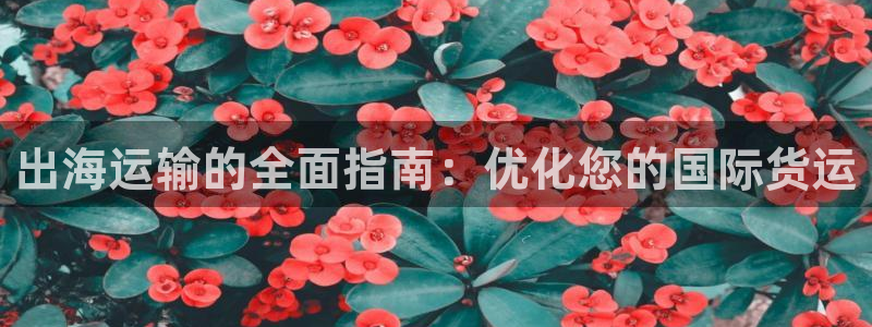 公海赌赌船官网jc710公海
