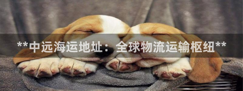欢迎来公海欢迎来赌船欢迎