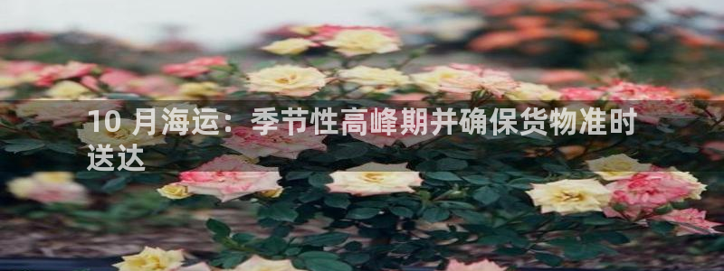 欢迎公海赌710
